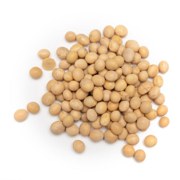 Organic Soya Beans