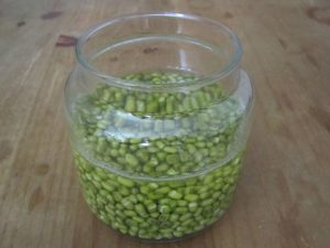 sprouting2