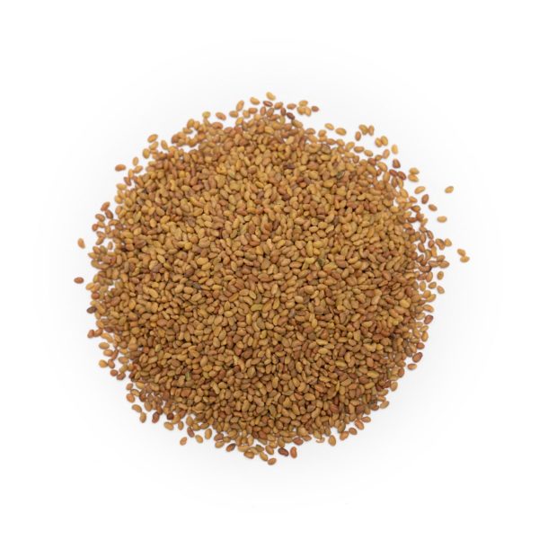 Organic Alfalfa Seeds