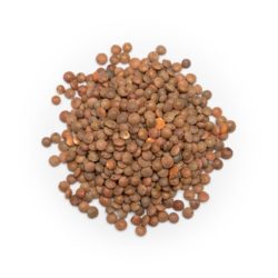 Organic Brown Lentils