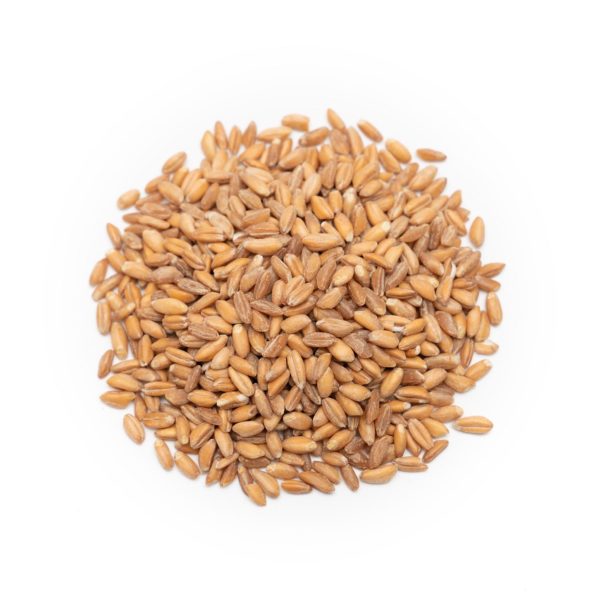 Organic Emmer Grain