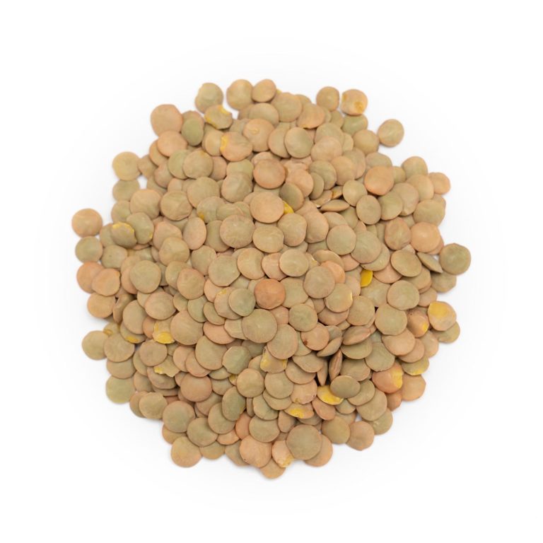 Organic Green Lentils Forest Whole Foods