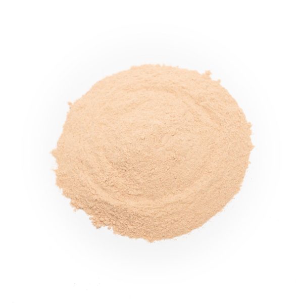 Organic Lucuma Powder - Image 2