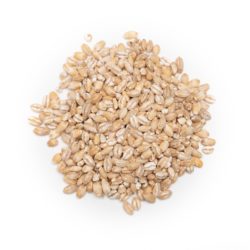 Organic Pearl Barley