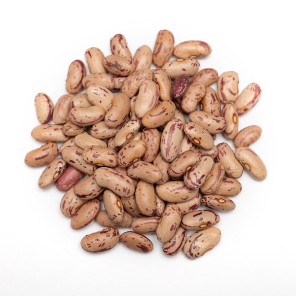 Organic Pinto Beans