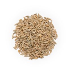 organic_rye_grain