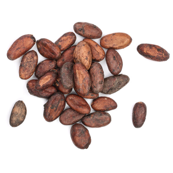 cacao beans