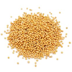 organic mustard seeds