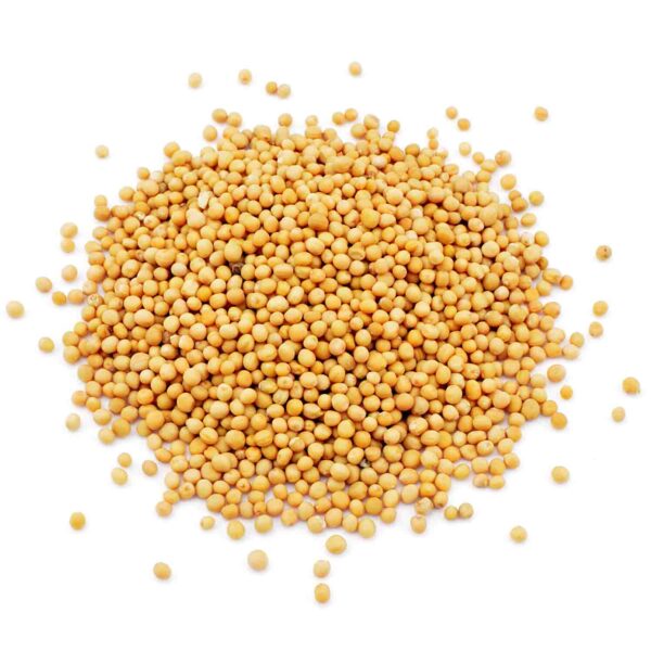 organic mustard seeds