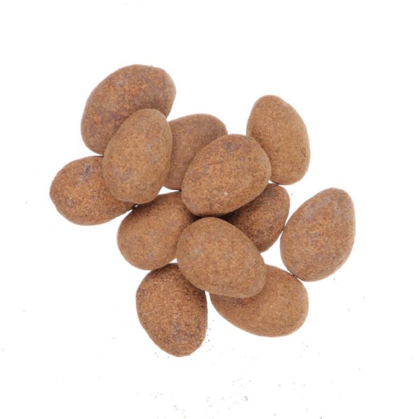 Organic Milk Chocolate Almonds With Cinnamon loose