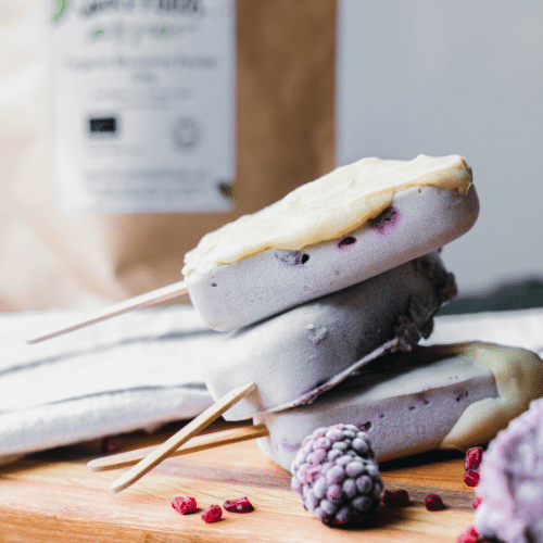 vegan blueberry ice cream